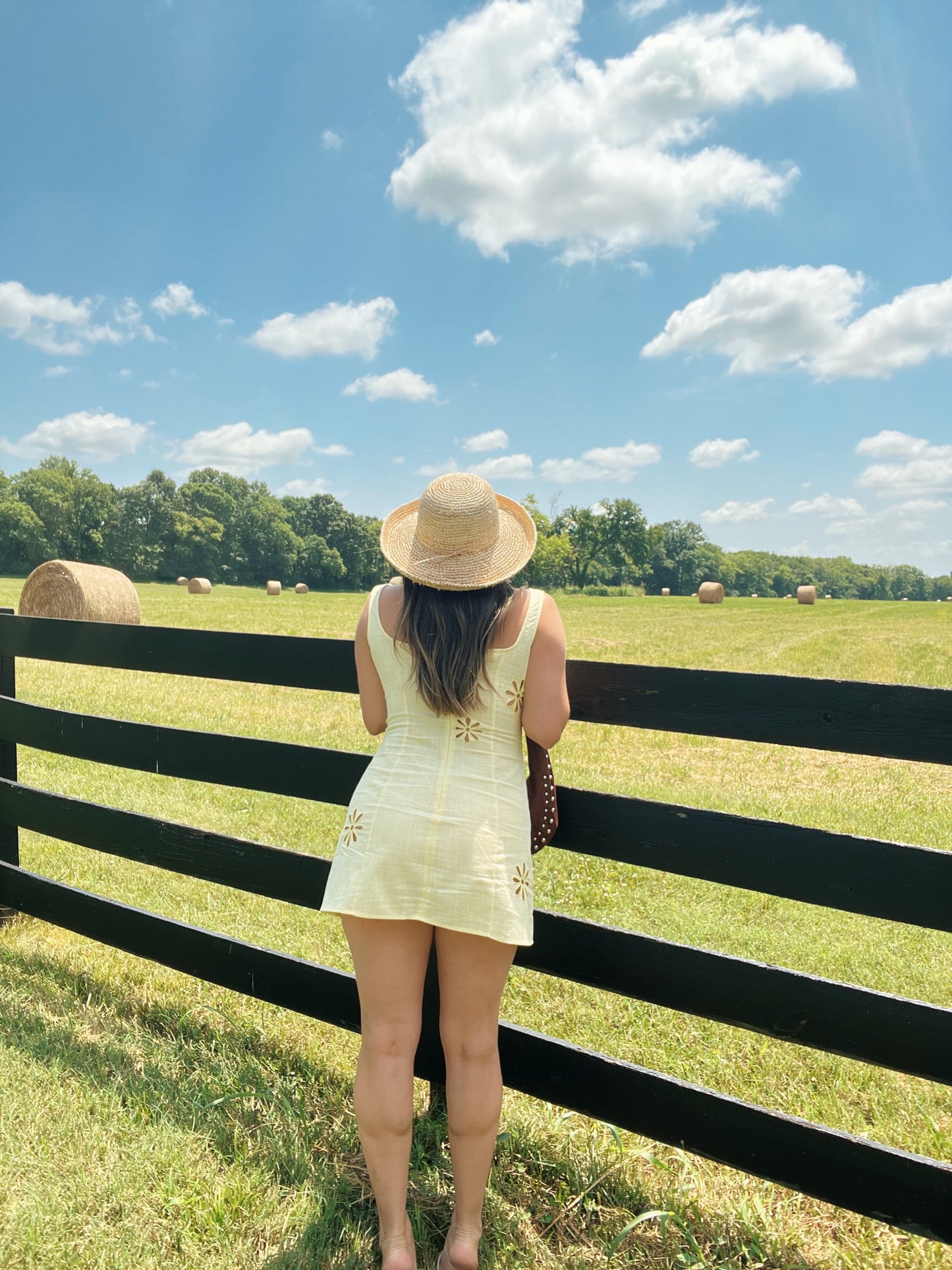 Daisy Mini Dress